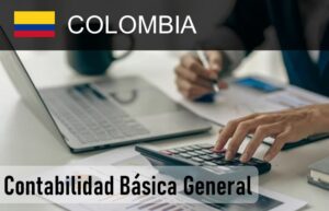 Libro contabilidad basica general colombia